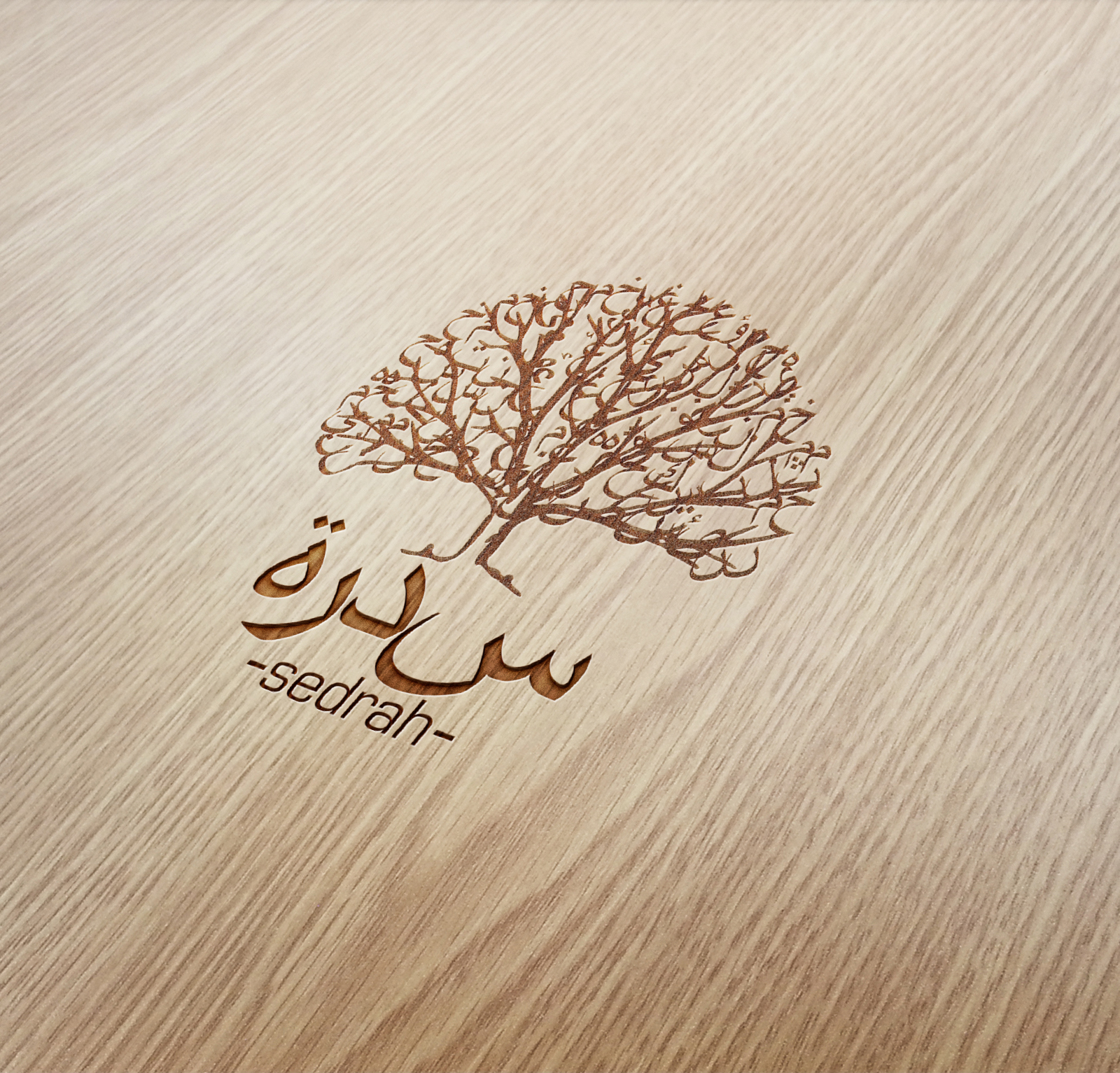 sedrah tree